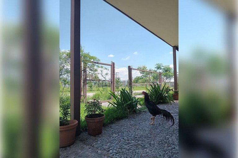 ¡Acogedora casa en Salta! el lugar ideal! hasta 4 Personas