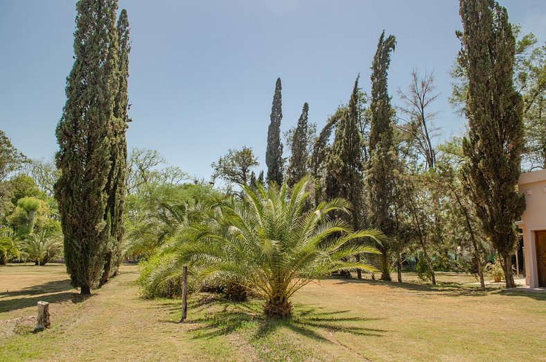 Casa com Piscina e Espaço Recreativo - Aluguel Sem Comissões